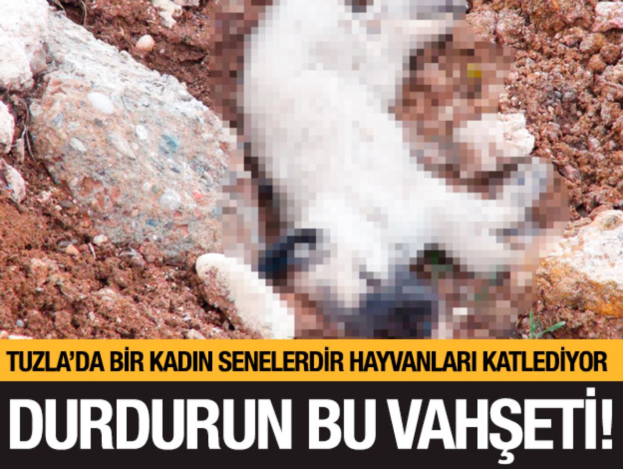 Durdurun bu vahşeti