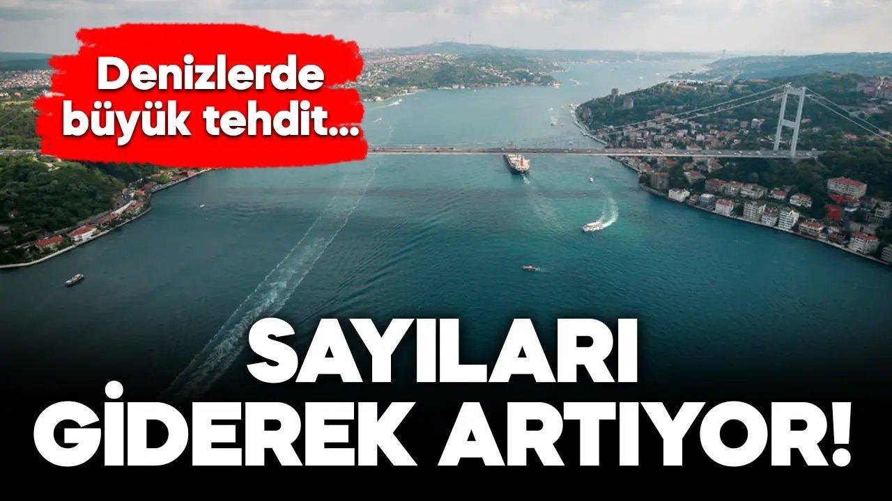 Denizler tehdit altında... Sayıları giderek artıyor!