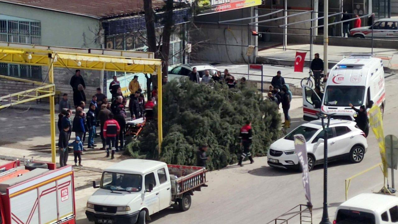 Belediye başkan adayı ve oğlu devrilen ağacın altında kaldı