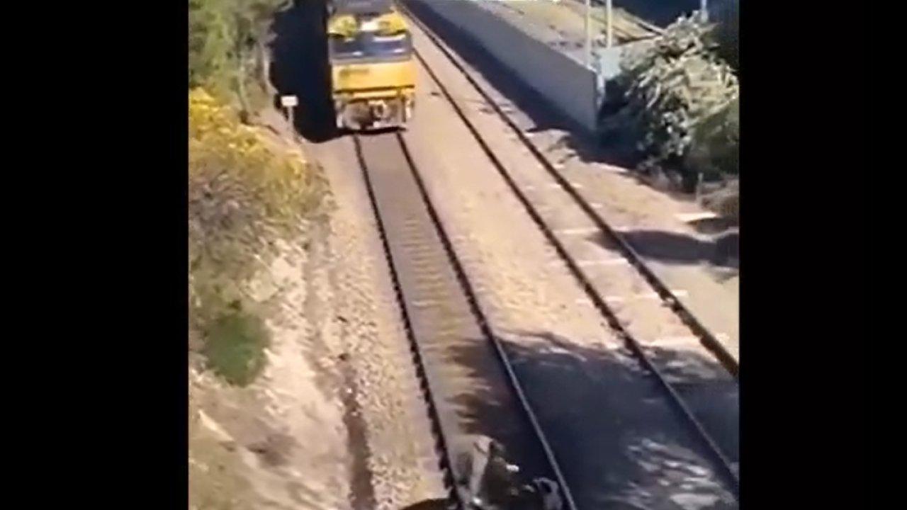 Tren raylarına bağlanan köpeği son anda kurtardı..!