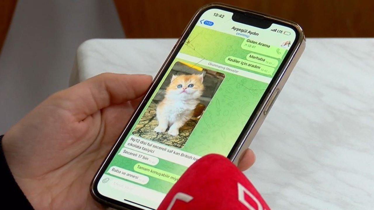 Pet shopta satışı yasaklanmıştı: Sosyal medyada arttı