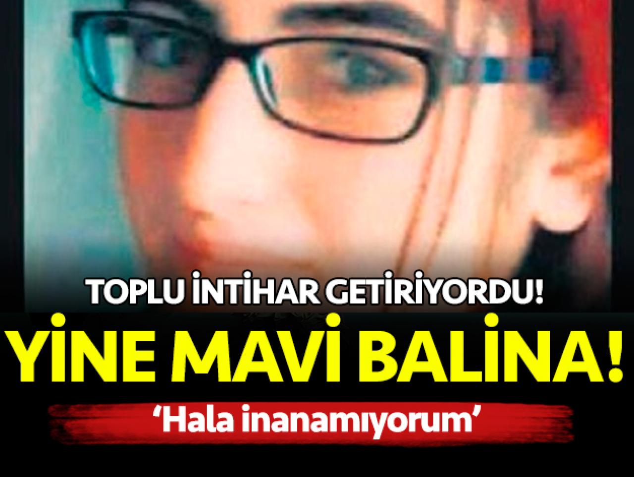 Mavi balina yine can aldı!