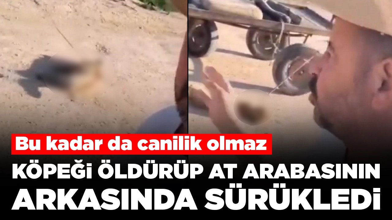 Bu kadar da canilik olmaz: Köpeği öldürüp at arabasının arkasında sürükledi