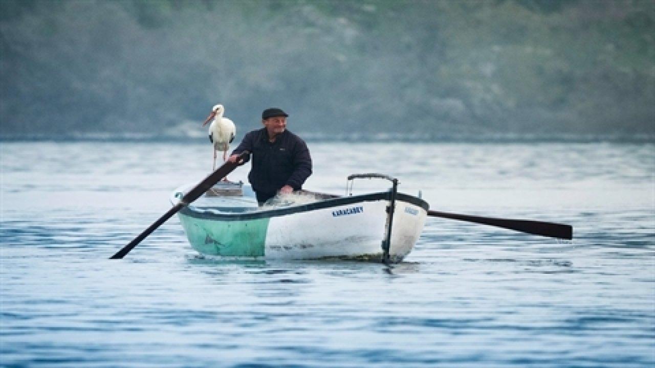 Balıkçı Adem Yılmaz, Yaren Leyleği balıklarla besledi