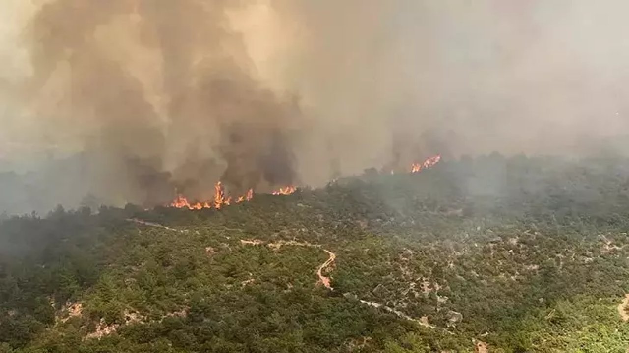 Çanakkale Valiliği'nden vatandaşlara orman yangını uyarısı geldi!