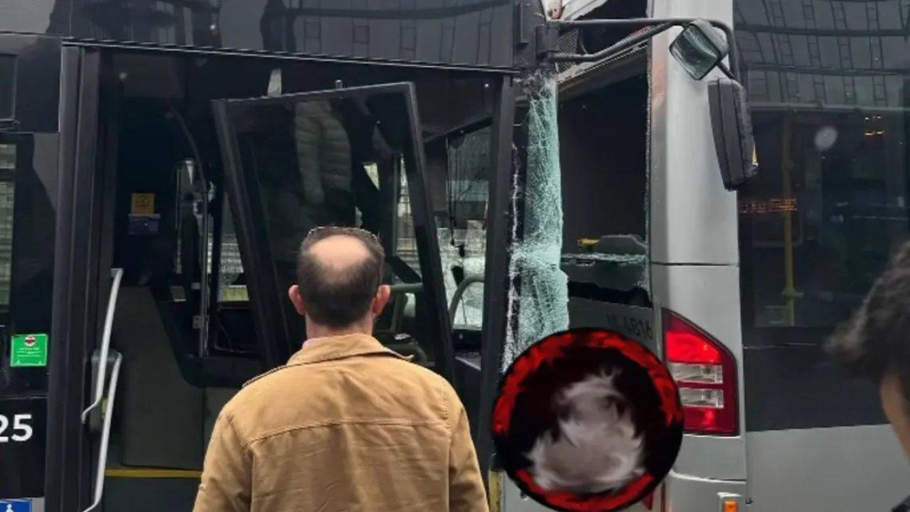 Son dakika! Kadıköy'de iki metrobüs birbirine çarptı