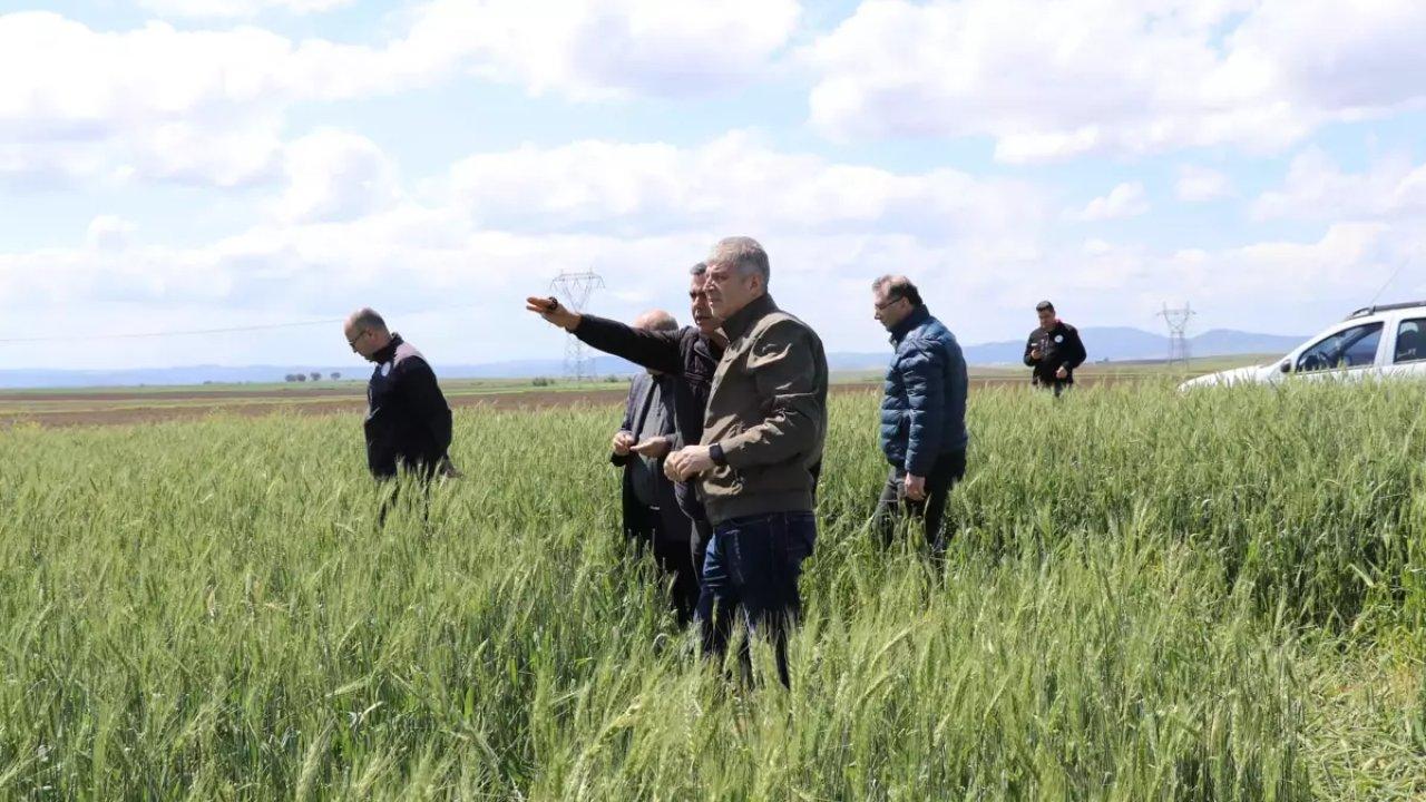 Edirne'de 1500 dekar ekili alan doludan zarar gördü