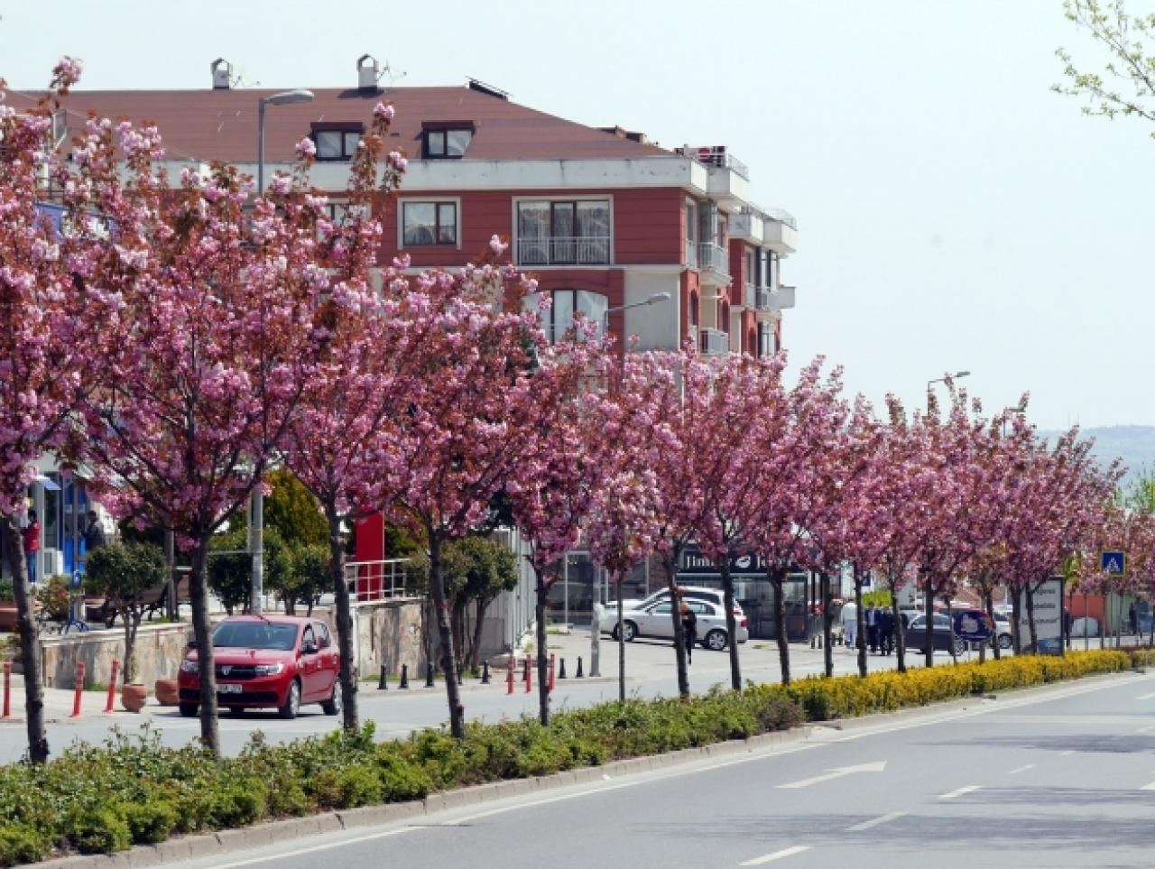 Büyükçekmece renklendi