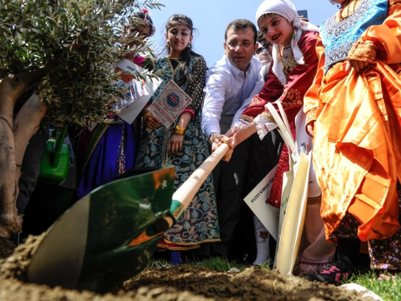 Ekrem İmamoğlu zeytin ağacı dikti