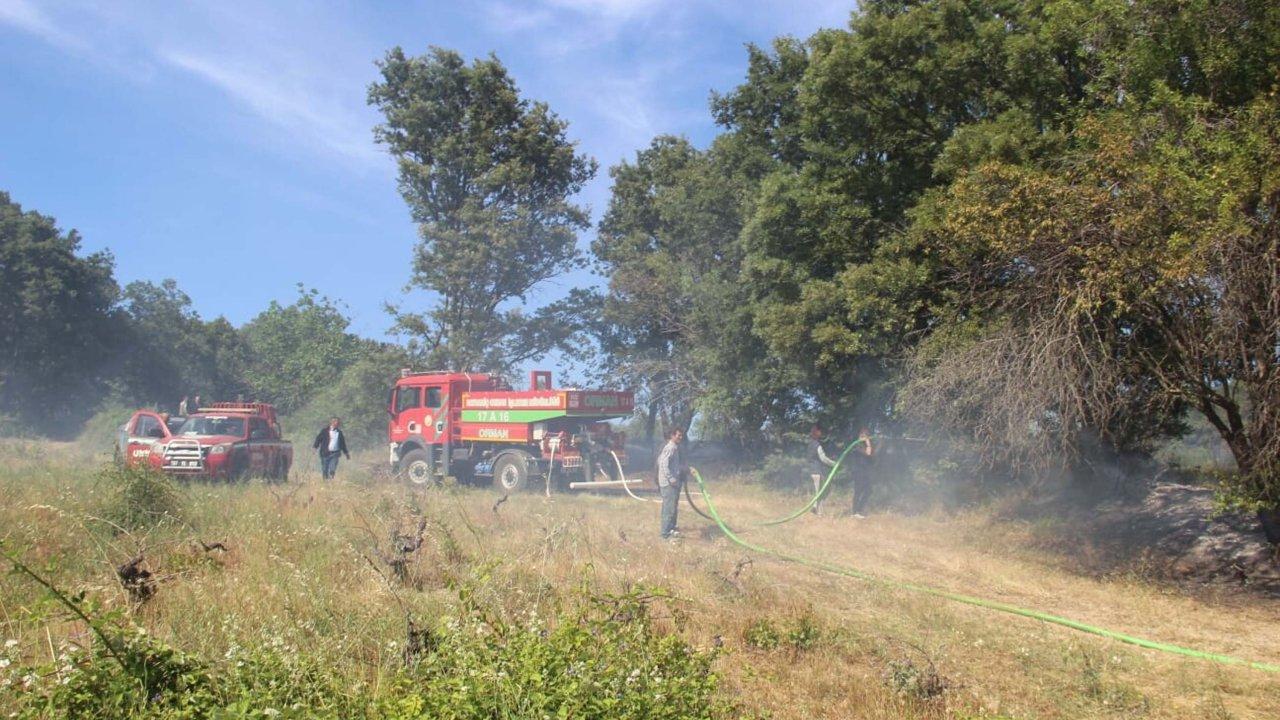 Çanakkale'de yangın: 20 dönüm alan zarar gördü