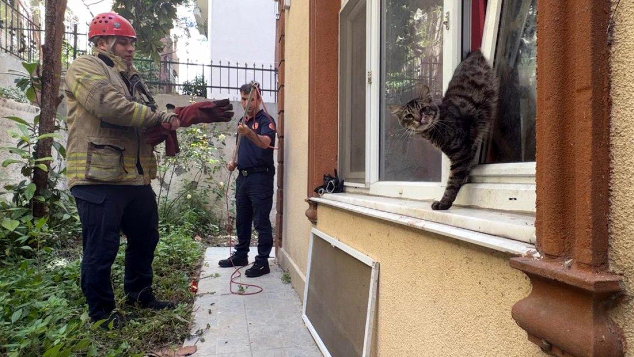 Pencerede sıkışan kediyi itfaiye kurtardı