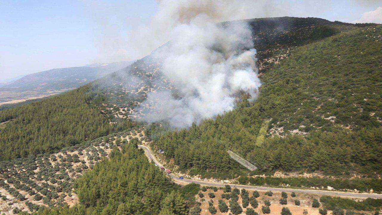 Muğla'daki orman yangınının çıkış nedeni belli oldu: 2 hektarlık alan zarar gördü