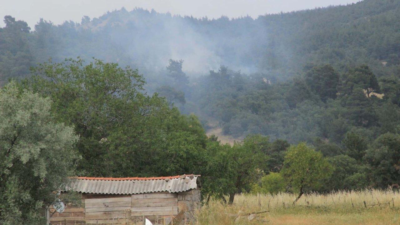 Çanakkale'de ormana düşen yıldırım yangın çıkardı: Rüzgarın etkisiyle kısa sürede büyüdü