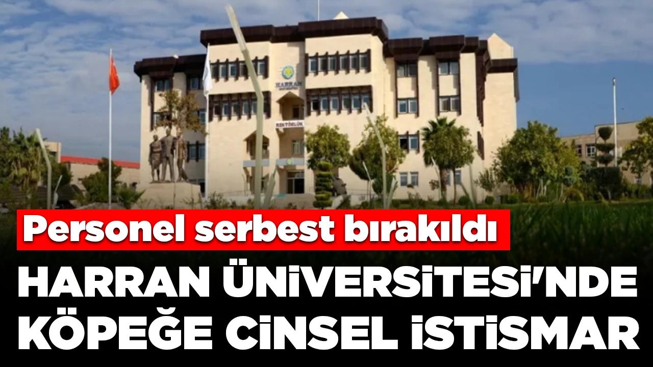 Mide bulandıran olay! Harran Üniversitesi'nde köpeğe cinsel istismarda bulunan personel serbest bırakıldı