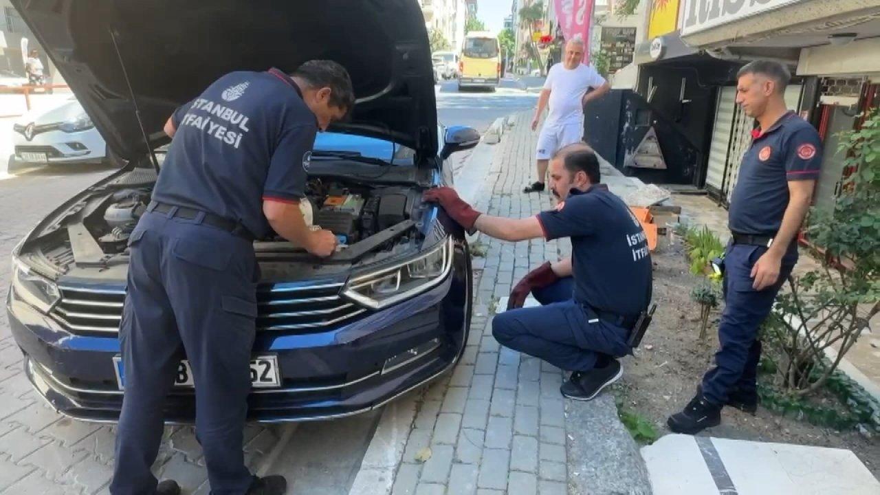 İstanbul'da itfaiyeden kedi kurtarma operasyonu