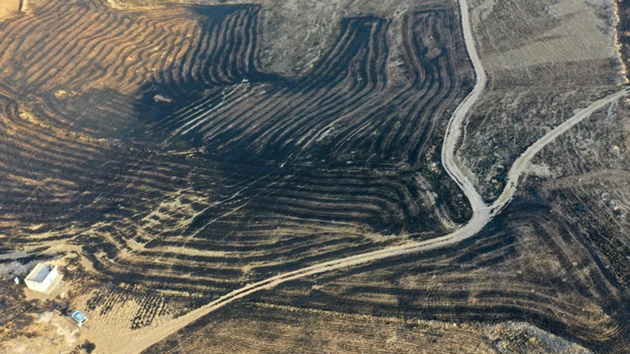 Beşiktaş Belediyesi'nden Diyarbakır ve Mardin'e 'hayvan ambulansı' desteği: 'Yaralarımızı hep birlikte saracağız'