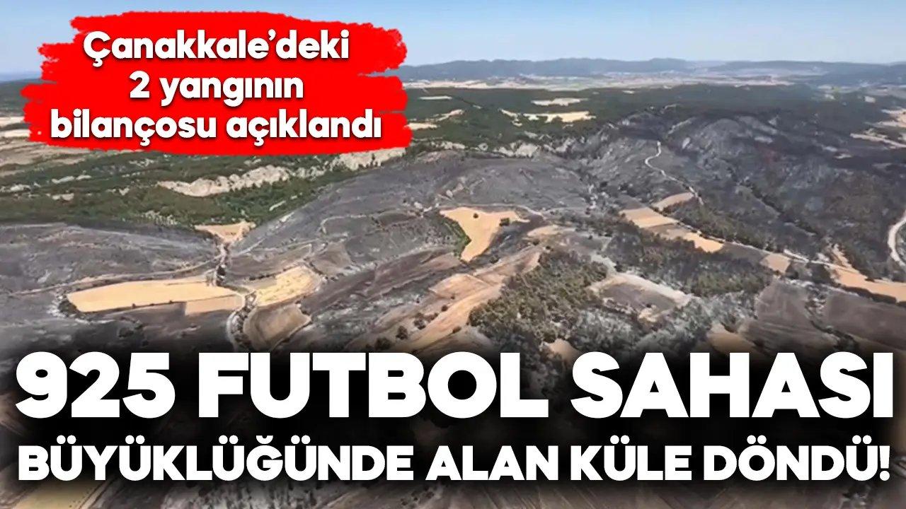 Çanakkale'de 2 yangında 952 futbol sahası büyüklüğündeki alan zarar gördü