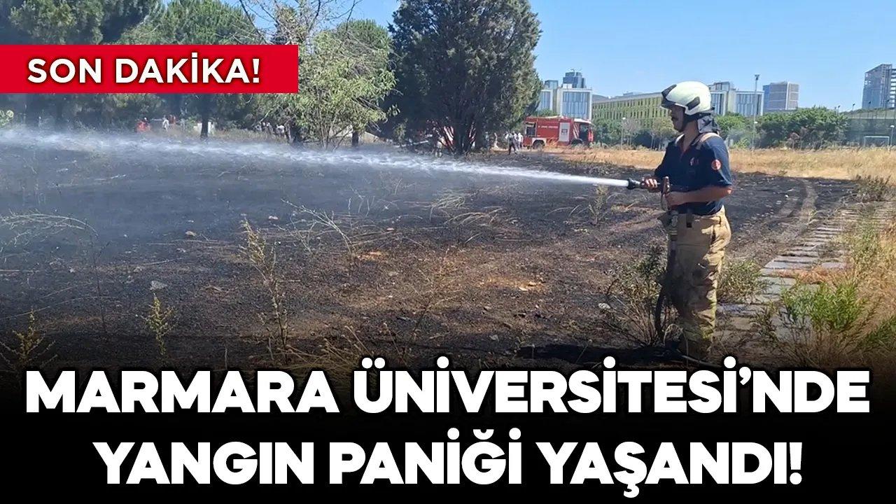 Son dakika! Marmara Üniversitesi'nde yangın paniği! Otlar alev alev yandı