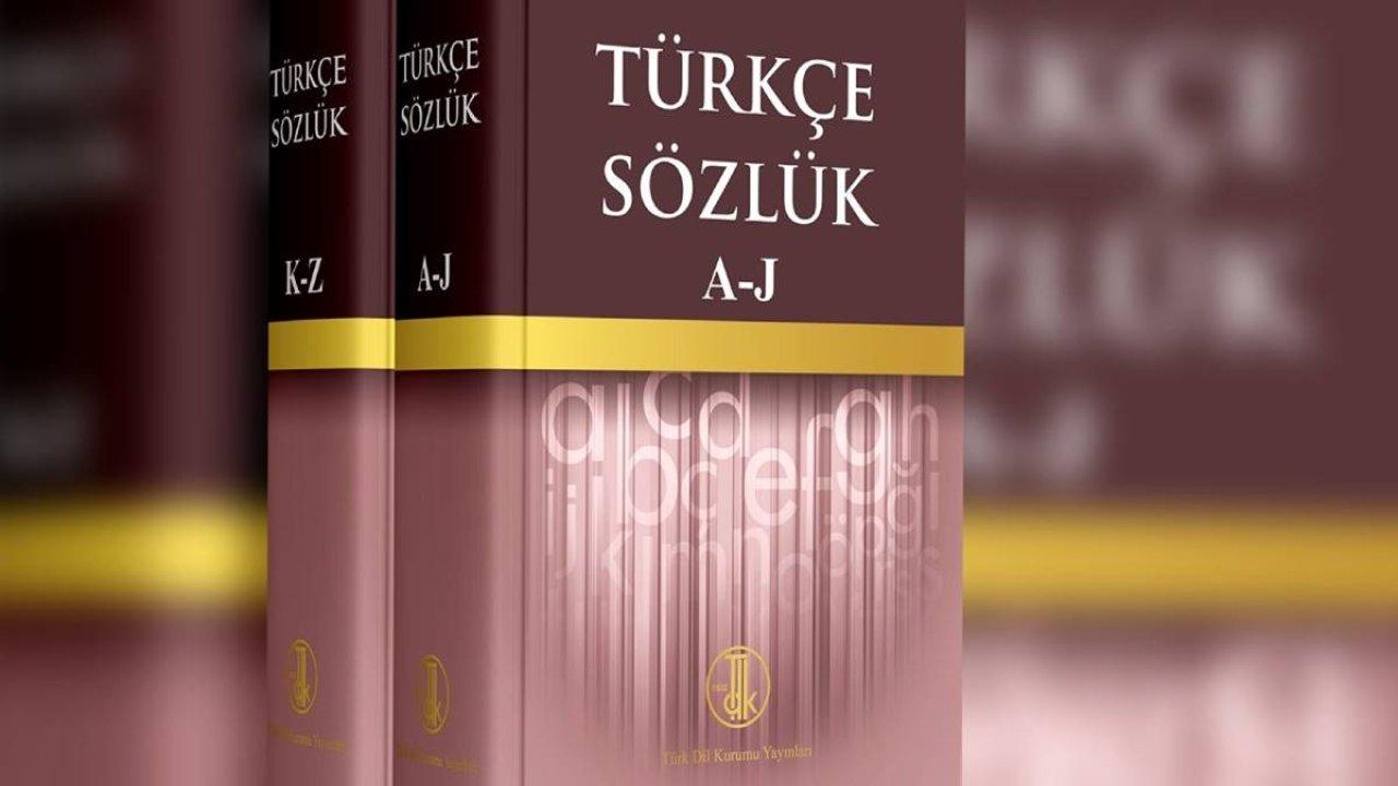 TDK'dan cinsiyetçi kelimelere düzenleme! Kelimeler sözlükten kaldırıldı