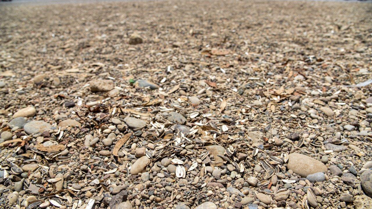 Konyaaltı Sahili'nde izmarit, çekirdek kabuğu kirliliği