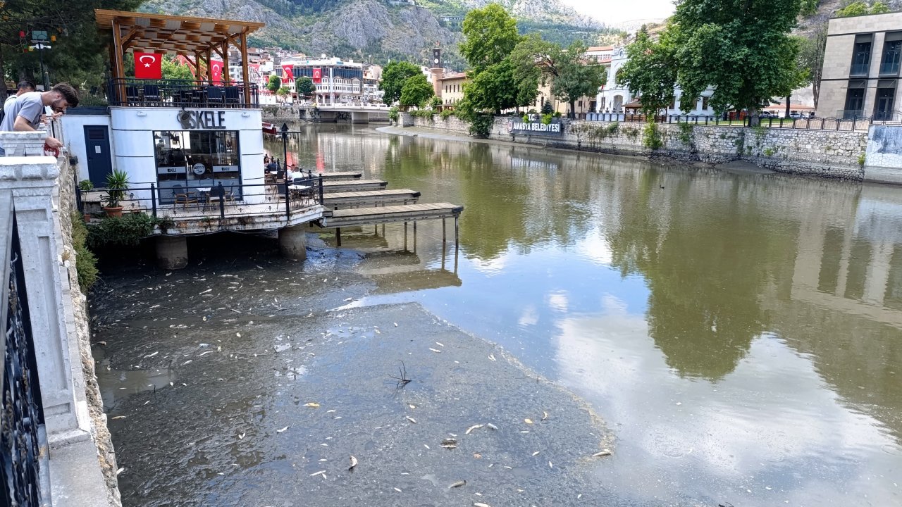 Yeşilırmak'ta korkutan manzara: İnceleme başlatıldı