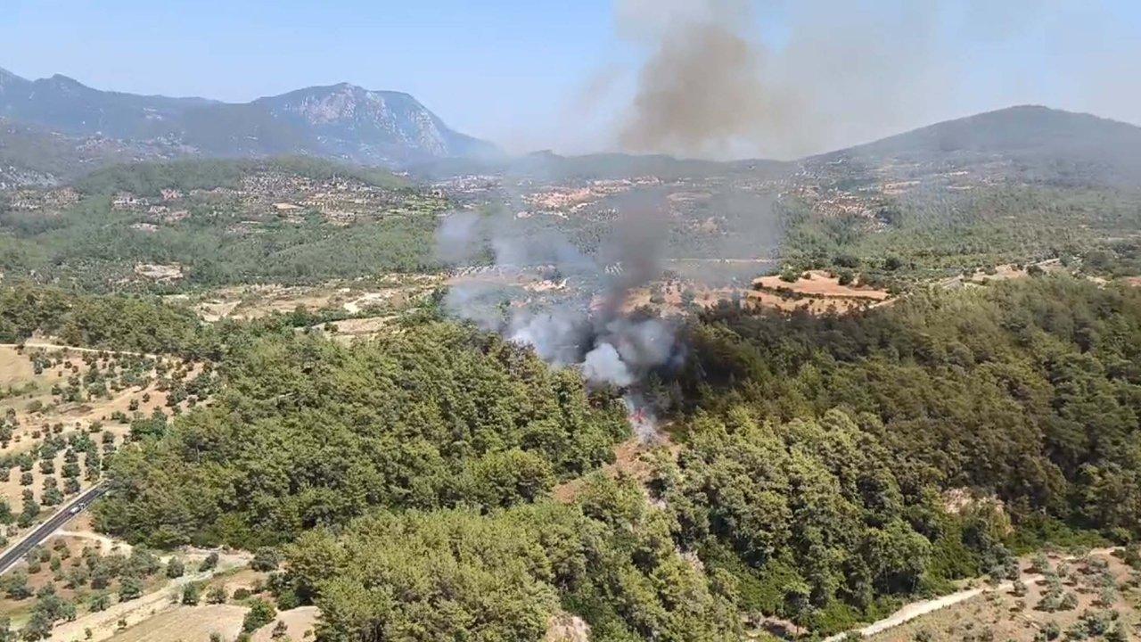 Muğla Milas'ta orman yangını çıktı