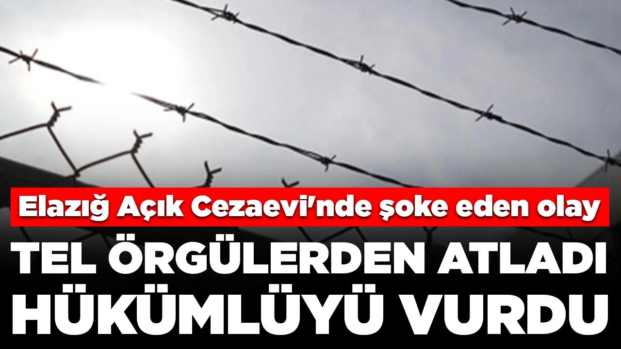 Elazığ Açık Cezaevi'nde şoke eden olay: Tel örgülerden atladı, hükümlüyü vurdu