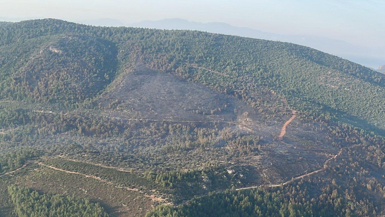 Bodrum'daki orman yangını kontrol altında!