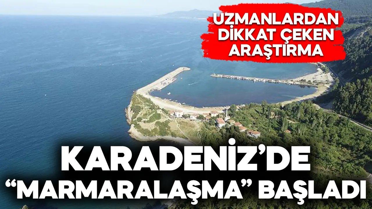 Uzmanlardan korkutan uyarı: "Karadeniz, Marmaralaşıyor"