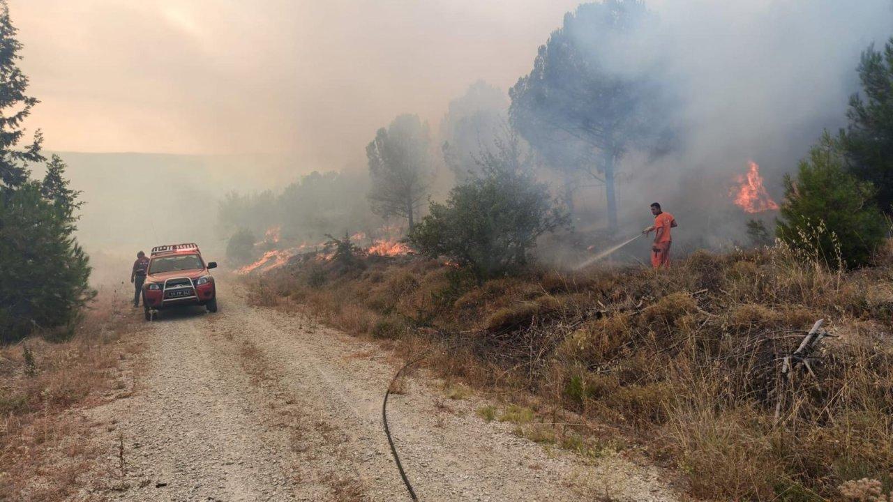 Çanakkale’de çıkan orman yangını kontrol altında