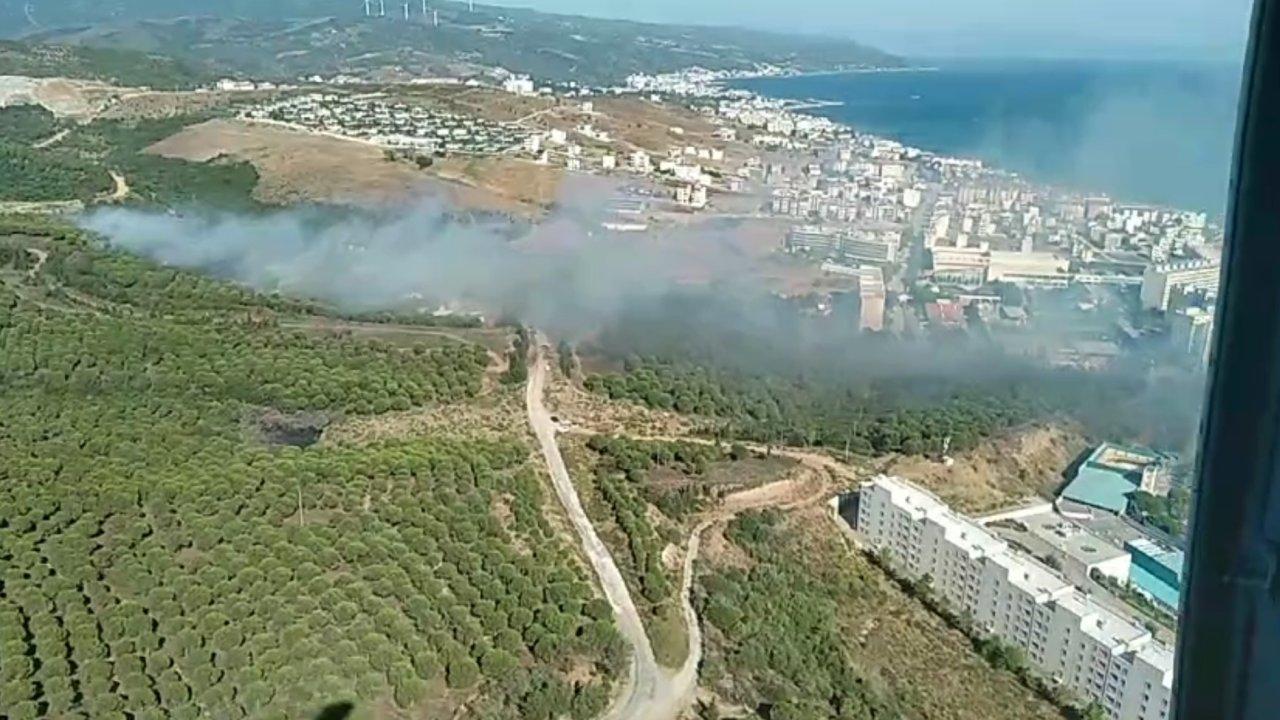 Yalova'da iki ayrı noktada orman yangını çıktı