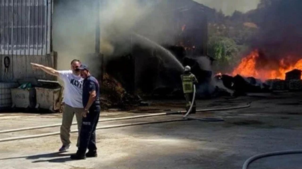 Balıkesir'de çiftlik yangını