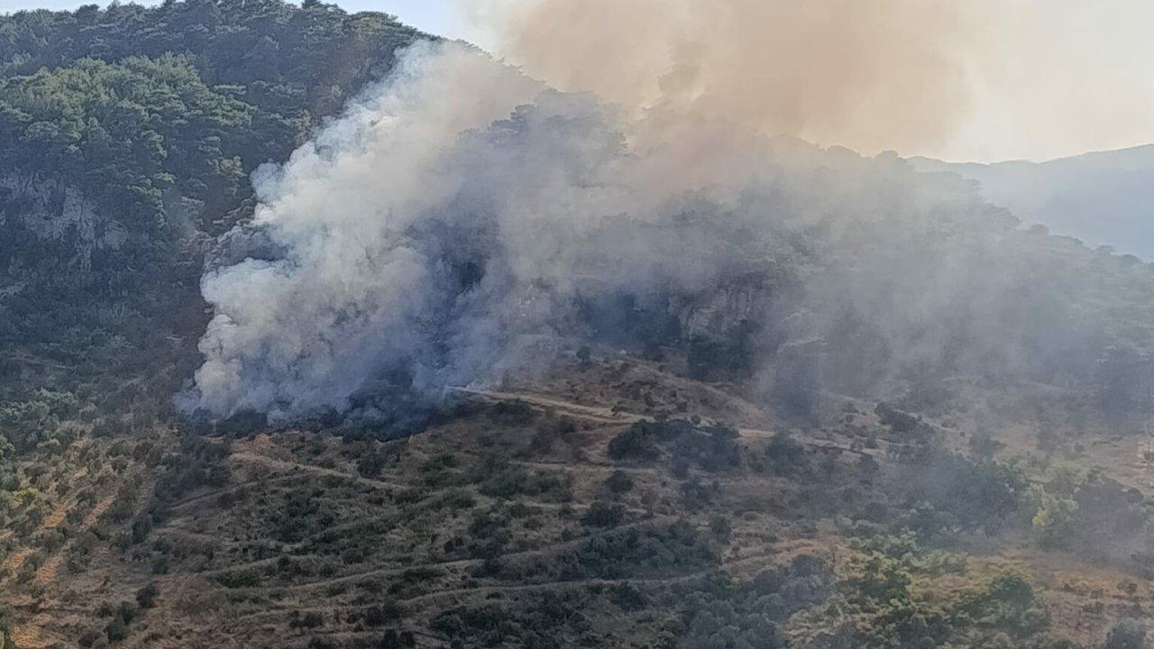 Çanakkale'de orman yangını