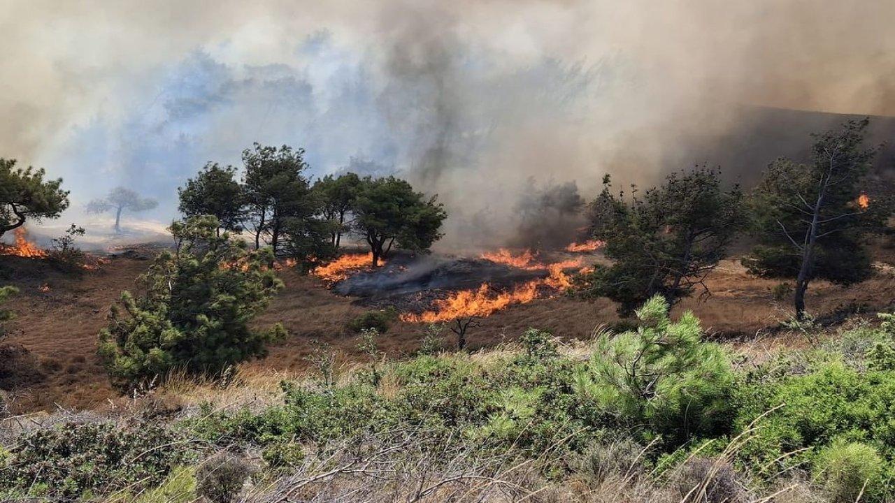 Çanakkale Bozcaada’da yangın çıktı!