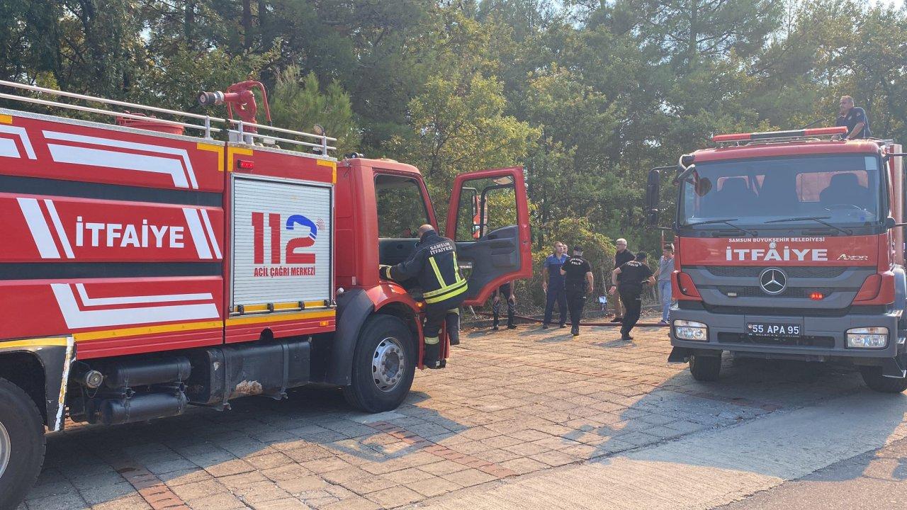 Samsun'da orman yangını: Alevlere müdahale ediliyor