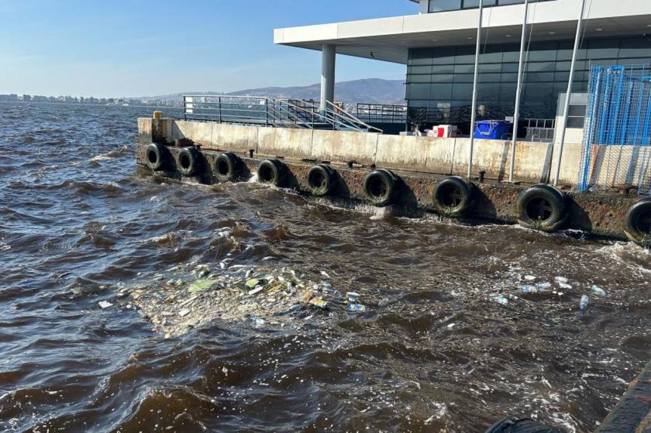 İzmir Körfezi'nde balıklar neden ölüyor?