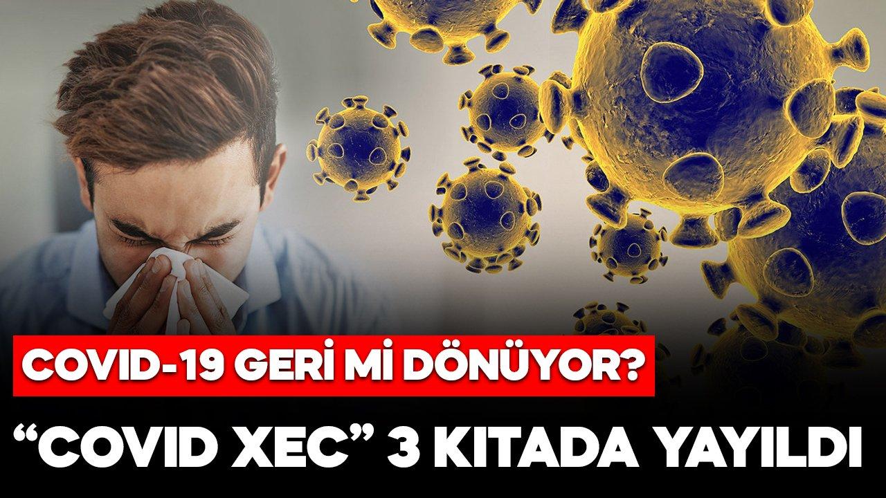 Covid 19 geri mi dönüyor? Uzmanlardan yeni Covid XEC varyantı uyarısı: Çok hızlı yayılıyor