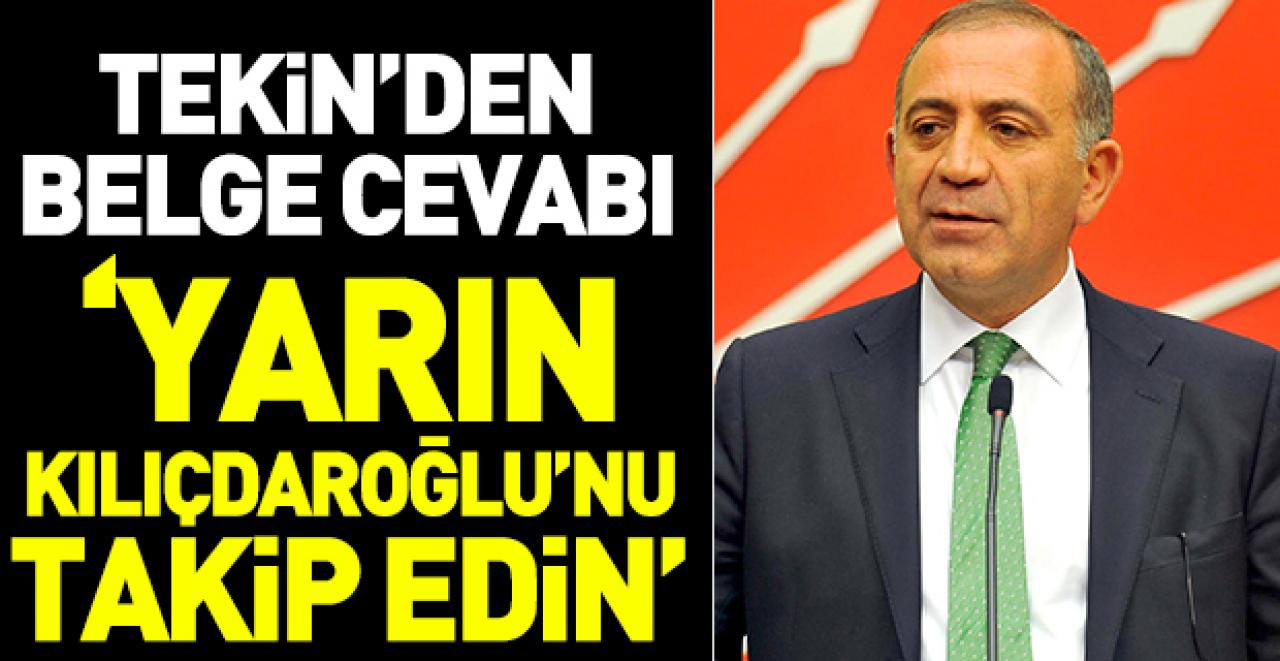 Gürsel Tekin'den belge cevabı