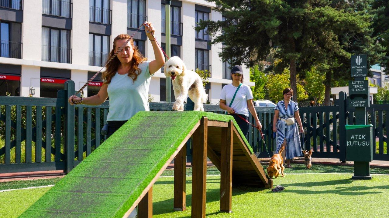 Ümraniye Belediyesi Köpek Eğitim Merkezi'ni hizmete sunuyor