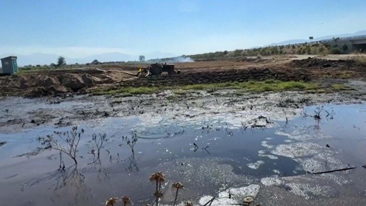 Gediz Nehri'nde korkutan toplu balık ölümleri: 'Gediz bitmiş durumda'