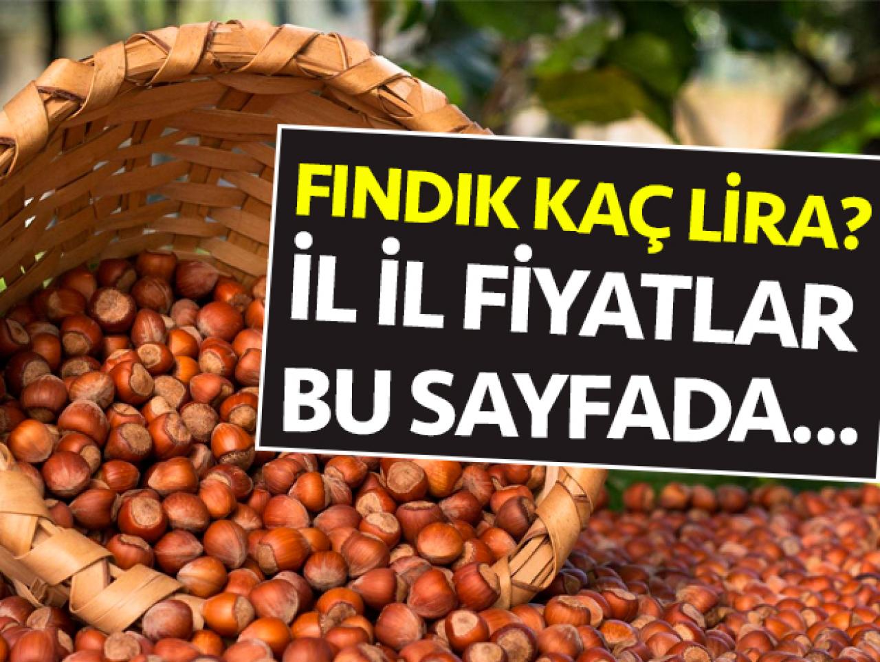 13 Haziran 2019 Perşembe Fındık Fiyatları - Fındık kaç lira