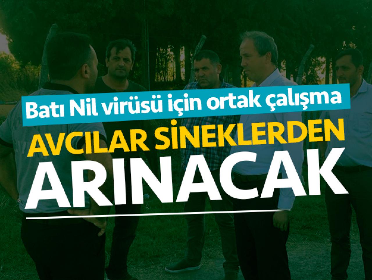 Sineklere karşı ortak mücadele