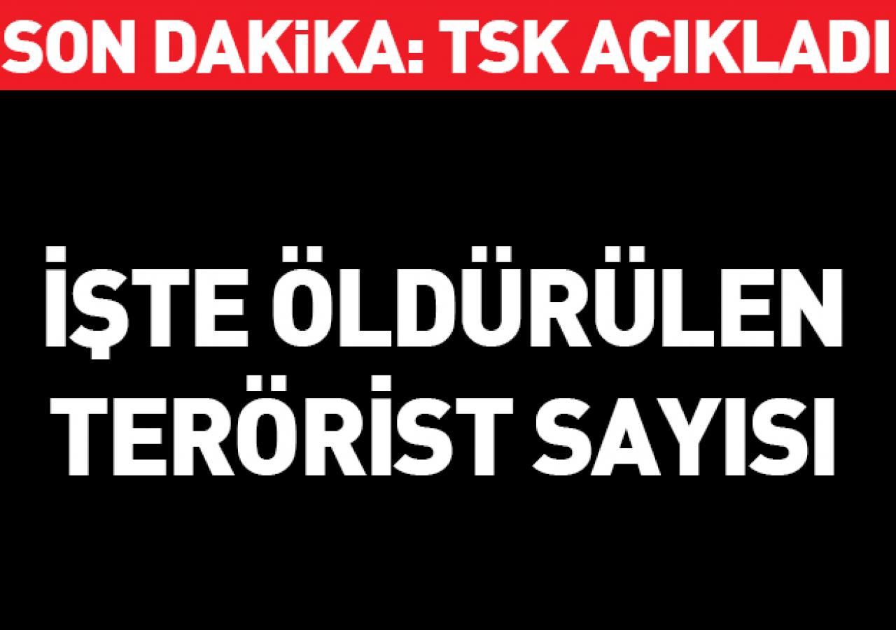 TSK öldürülen terörist sayısını duyurdu