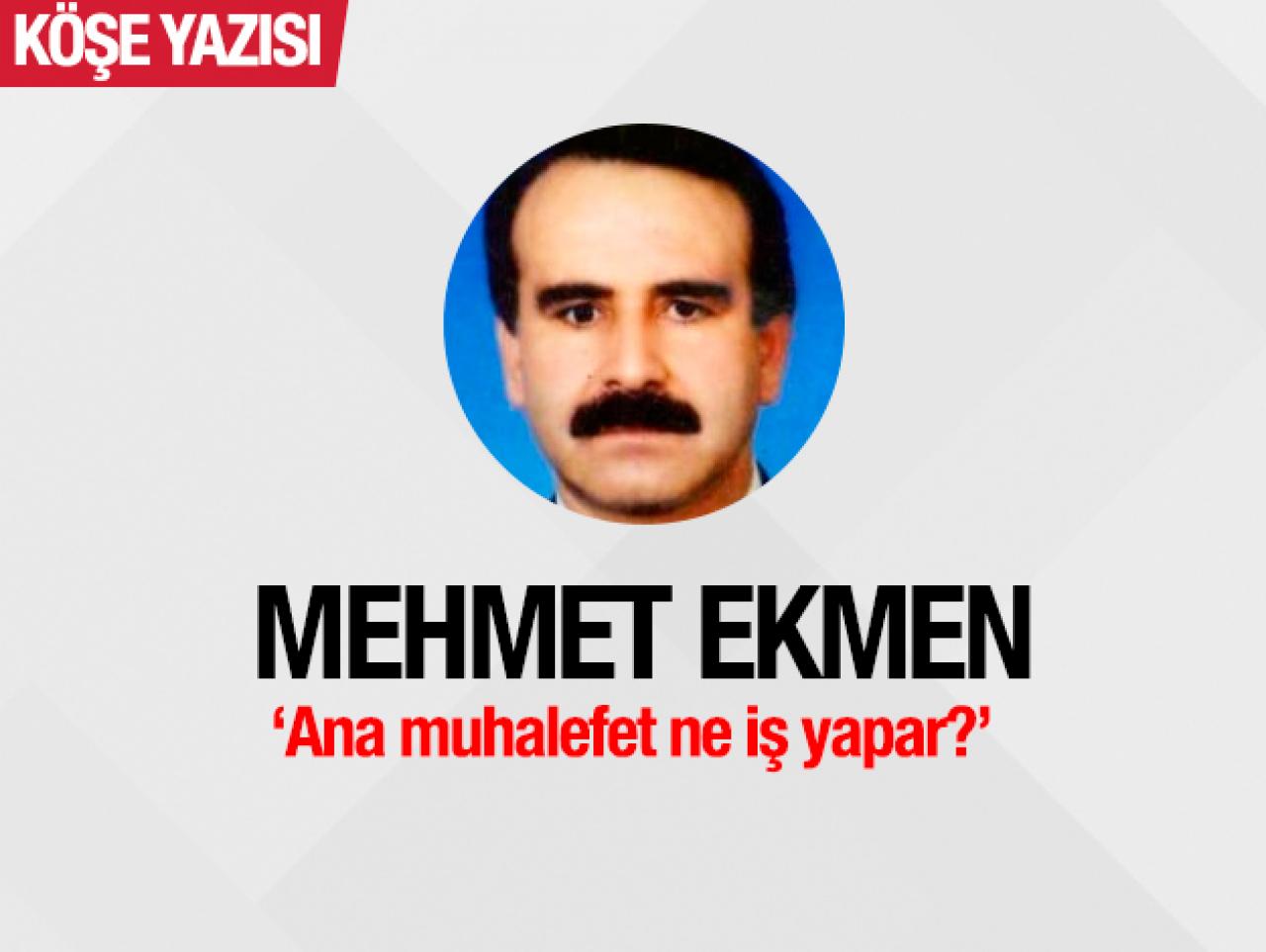 Ana muhalefet ne iş yapar?