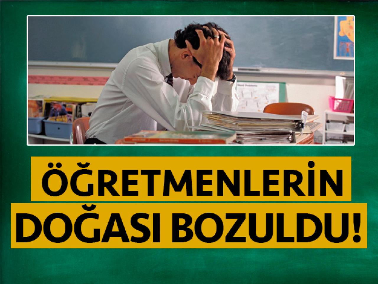 Öğretmenlerin doğası bozuldu!