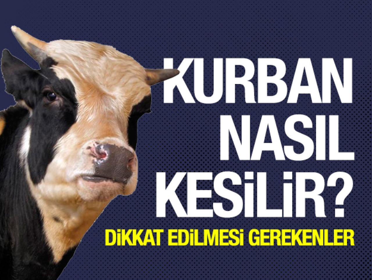 2019 Kurban Bayramı | Kurban nasıl kesilir? Kurban kesilirken nasıl niyet edilir