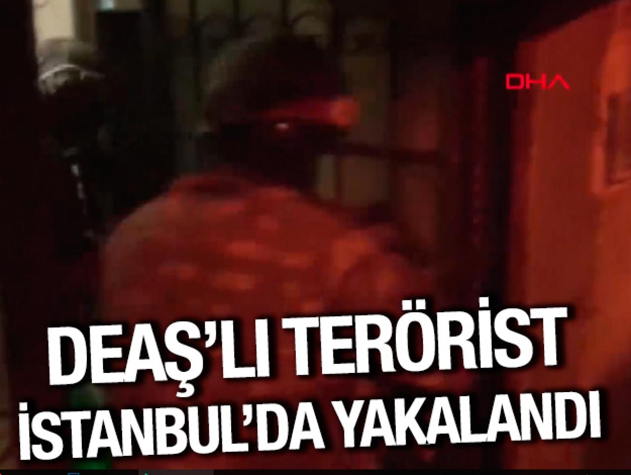 DEAŞ'lı terörist İstanbul'da yakalandı