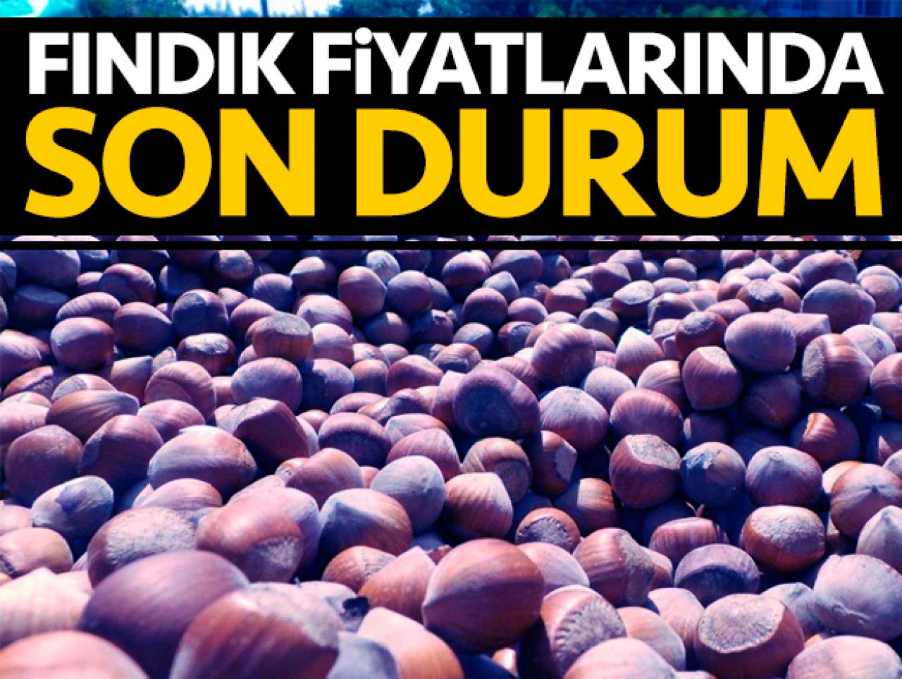 10 Eylül Salı güncel fındık fiyatları! Fındık kaç lira?