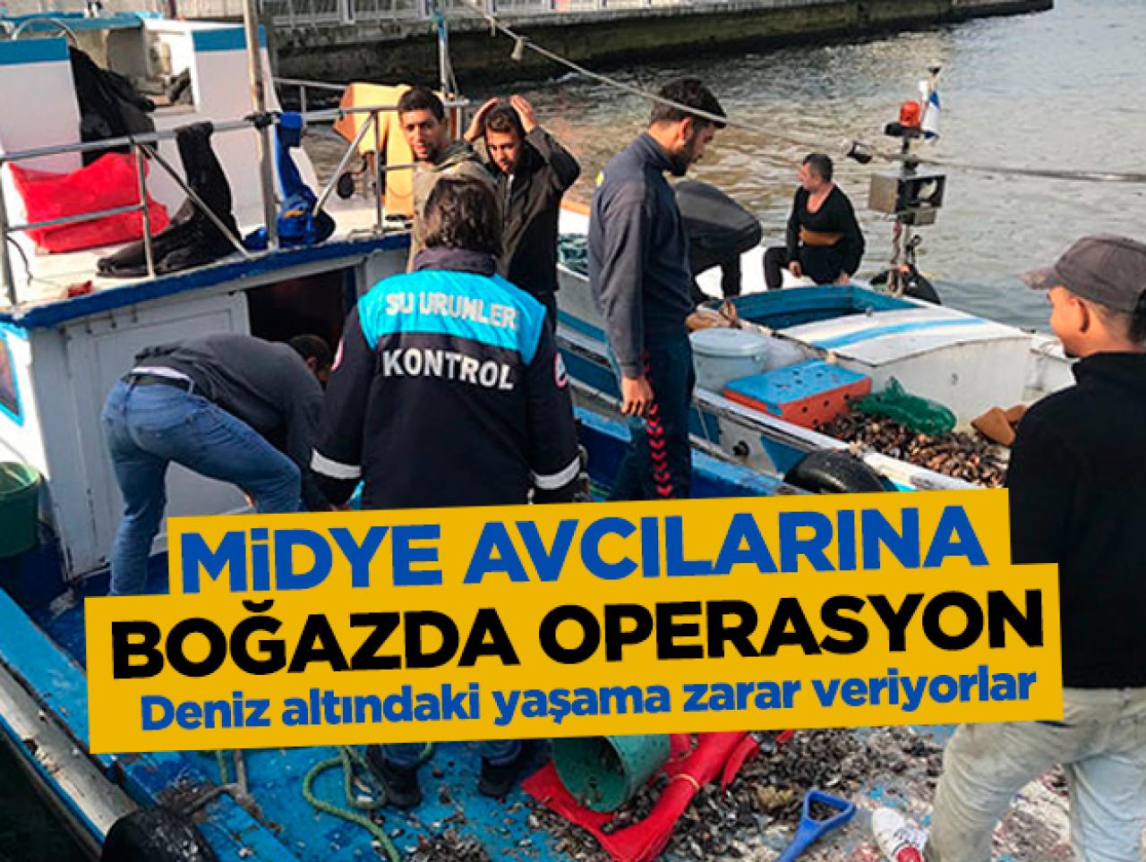 Kaçak midye avcılarına İstanbul Boğazı'nda operasyon