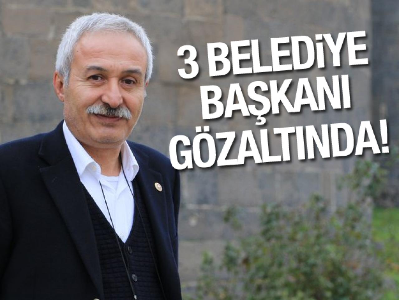 Diyarbakır Büyükşehir Belediye Başkanı Selçuk Mızraklı gözaltına alındı